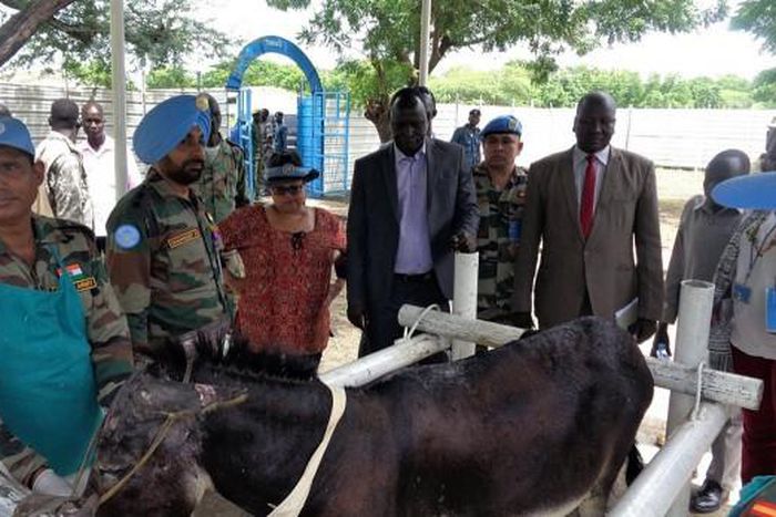 United Nations Mission in South Sudan (UNMISS)