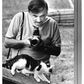 Walter Chandoha, 98, Photographer Who Took 90,000 Cat Pictures, Dies