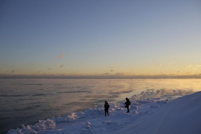 U.S. Midwest Freezes, Australia Burns: This Is the Age of Weather Extremes