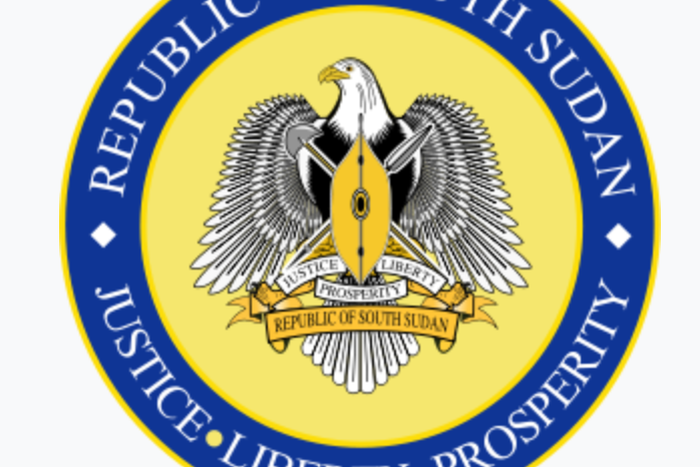 Government of the Republic of South Sudan