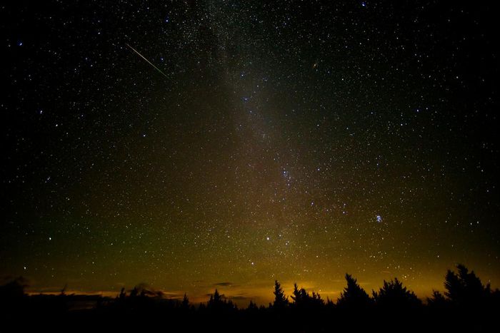 Perseids Meteor Shower Will Peak in Night Skies