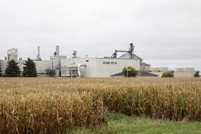 A Trump Policy Shift Gives Farmers in Key 2020 States 'Exactly What We Wanted'