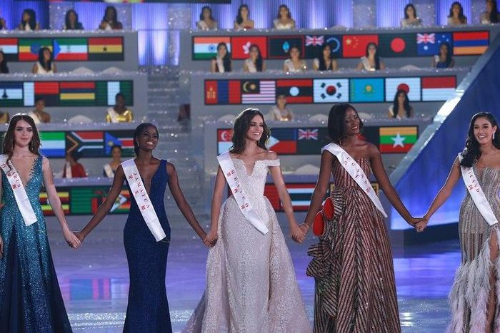 ___9181049___2018___12___8___20___Top_5