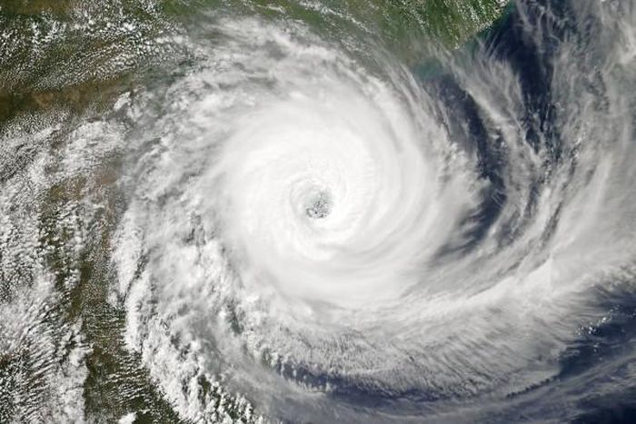 World Council of Churches (WCC)