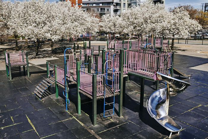 U.S. Children With Coronavirus Are Less Hard Hit Than Adults, First Data Shows