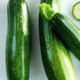Zucchini(health)