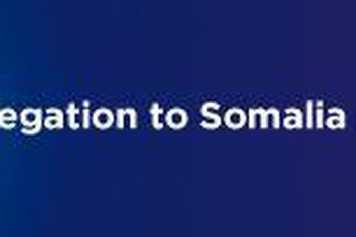 EU Delegation to Somalia