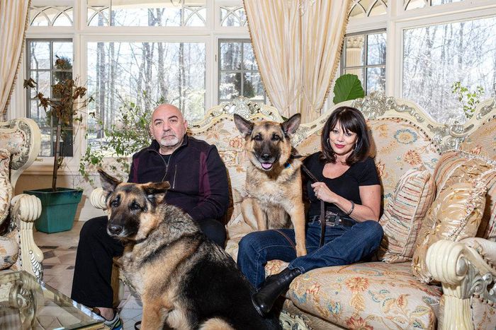 Attention, dogs: Your bark might take a bite out of your owners' wallets