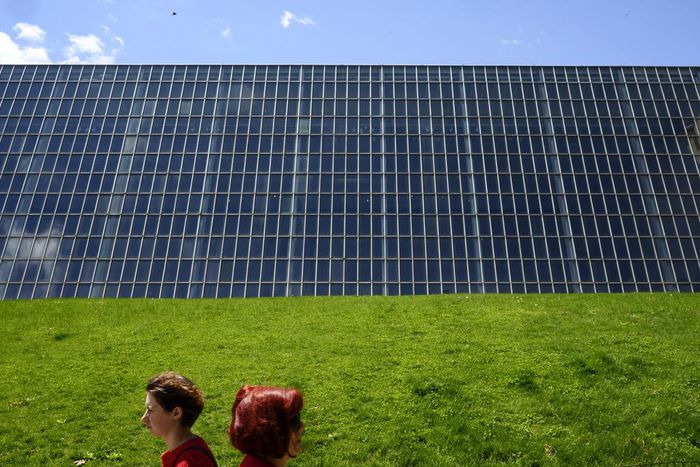 The Met Will Turn Down Sackler Money Amid Fury Over the Opioid Crisis