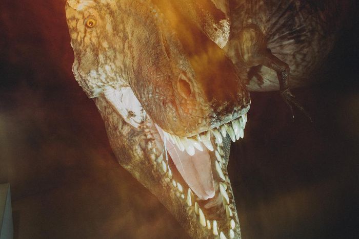 T. Rex Is Still Science's Biggest Star