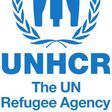 United Nations High Commissioner for Refugees (UNHCR)