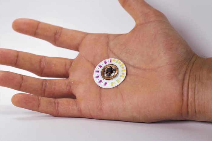 A Patch Uses Sweat to Get a Read on Your Body's Toil
