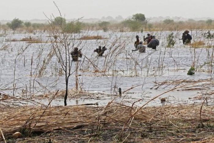 Office for Coordination of Humanitarian Affairs (OCHA)