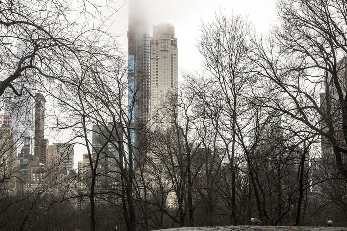 How a $238 Million Penthouse Turned a Long-Shot Tax on the Rich Into Reality