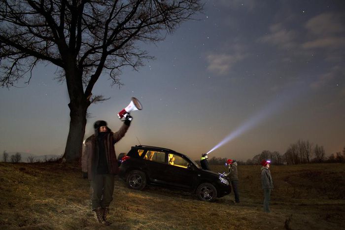 Rise of the Golden Jackal