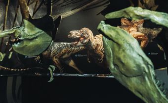 T. Rex Like You Haven't Seen Him: With Feathers