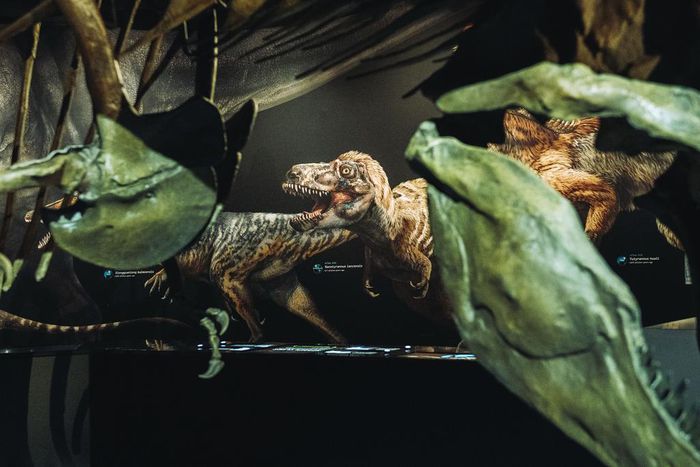 T. Rex Like You Haven't Seen Him: With Feathers