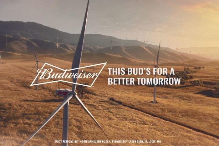 Could Beer Brewed With Wind Power Help Save the Planet?