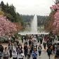 Washington state moves toward free and reduced college tuition, with businesses footing the bill