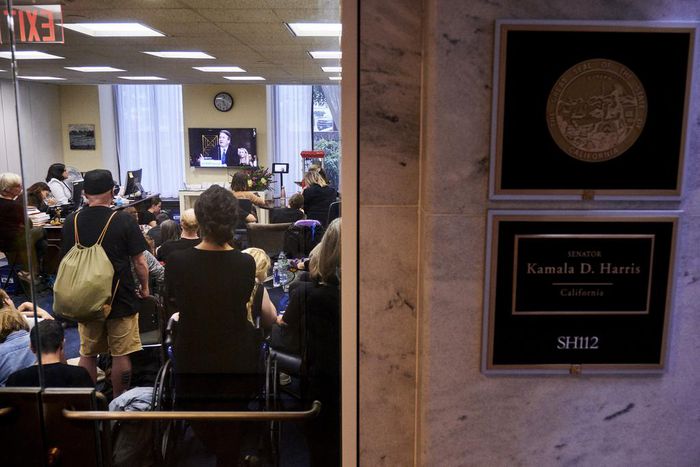 'Underappreciated' Powerhouse in a Race for Small Donors