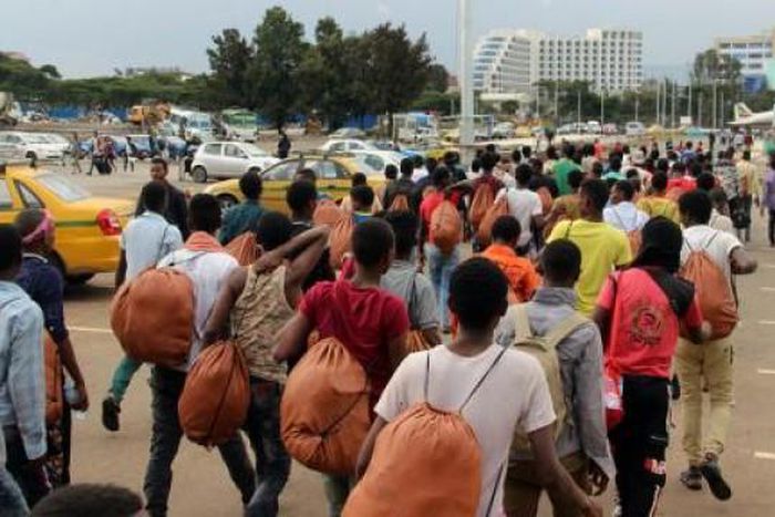 International Organization for Migration (IOM)