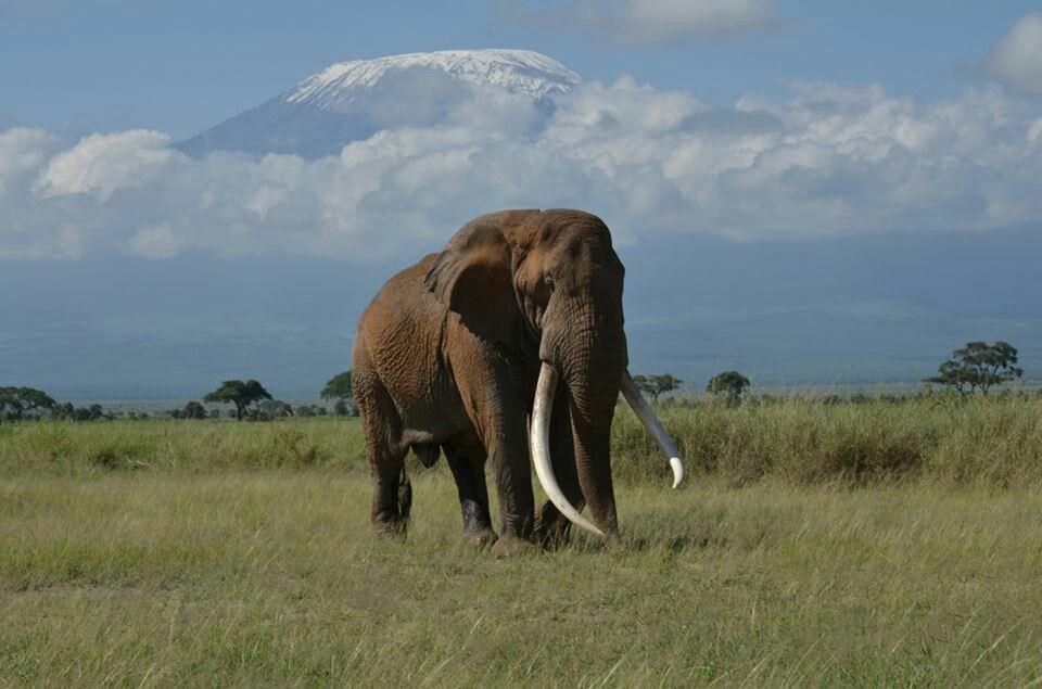 Tim at Amboseli Park