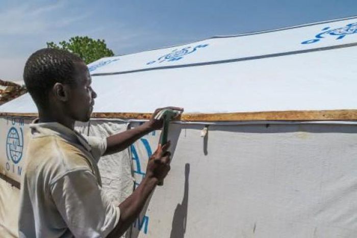 International Organization for Migration (IOM)