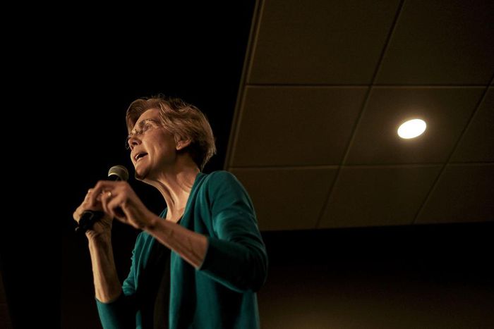 Democrats Puzzle Over Whether a Woman Will Beat Trump