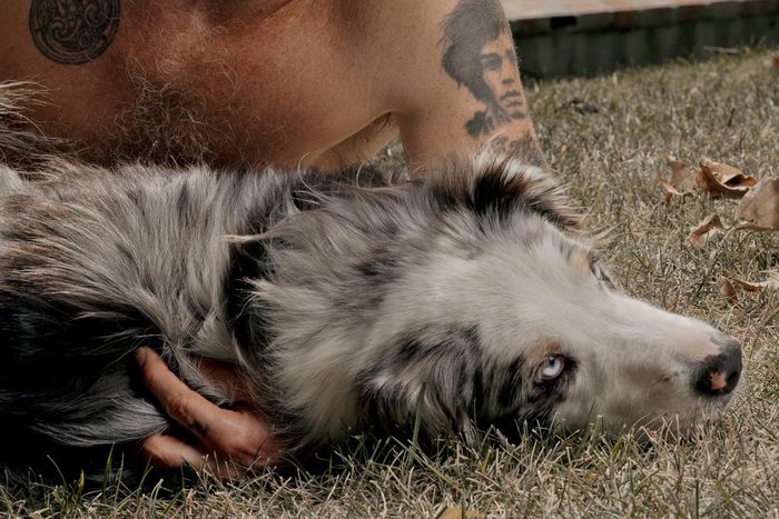 Flea Had a Wild Life. Then He Joined Red Hot Chili Peppers.