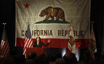 The Political Playbook of a Bankrupt California Utility
