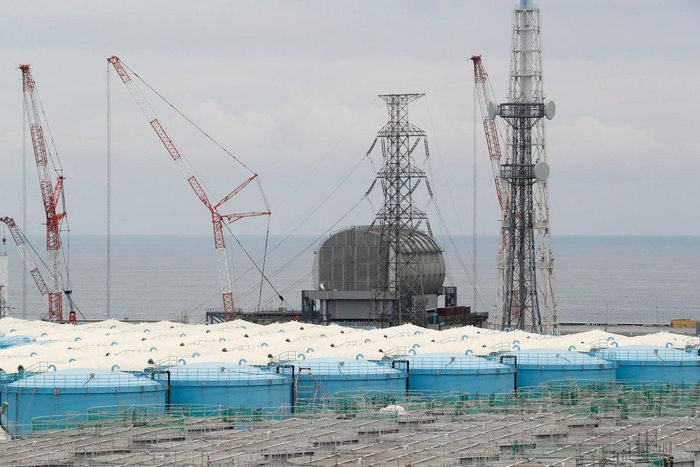 Removing fuel rods, Japan hits milestone in Fukushima nuclear cleanup