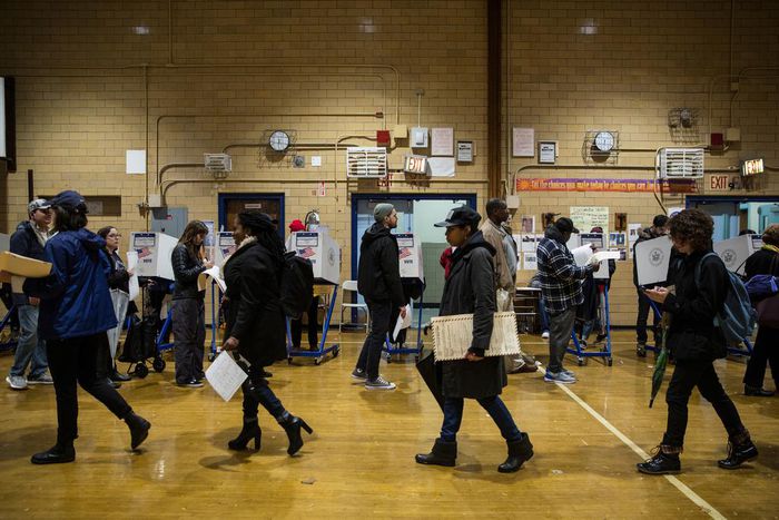 New York City Board of Elections Posts Voter Rolls Online, Alarming Activists