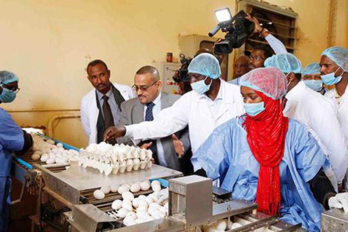 DP William Ruto visited a farm that rears 1.2 million chicken