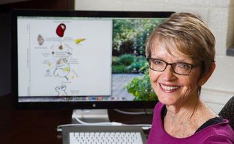 Leann Birch, who knew how to get a child to eat peas, dies at 72