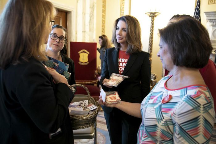 Defeat in 2013 Gave Gun-Control Activists a Base to Work From