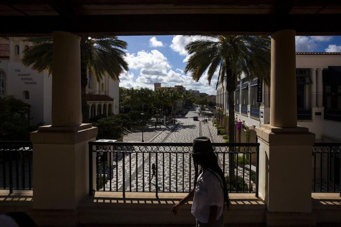 How Coronavirus-Weary Americans Are Seeking Joy