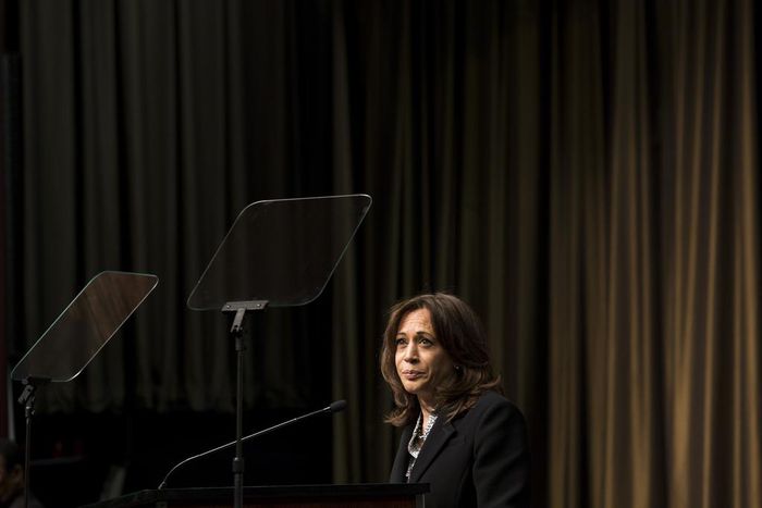 In New York, 2020 Democrats Offer a Range of Views on Racial Justice