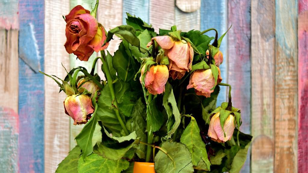 Withered roses (ChromeThemer)