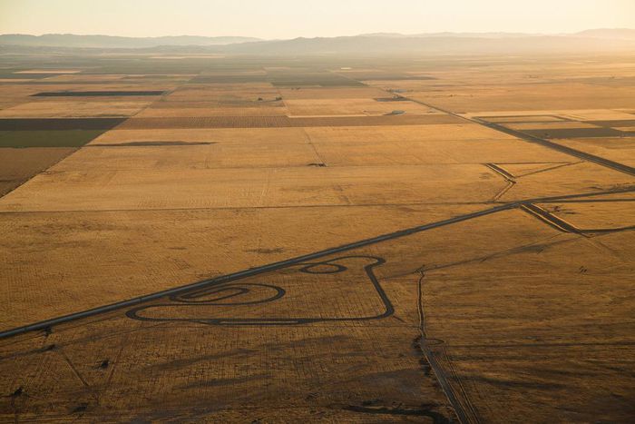 Interior Chief Pushes a Policy of an Ex-Client