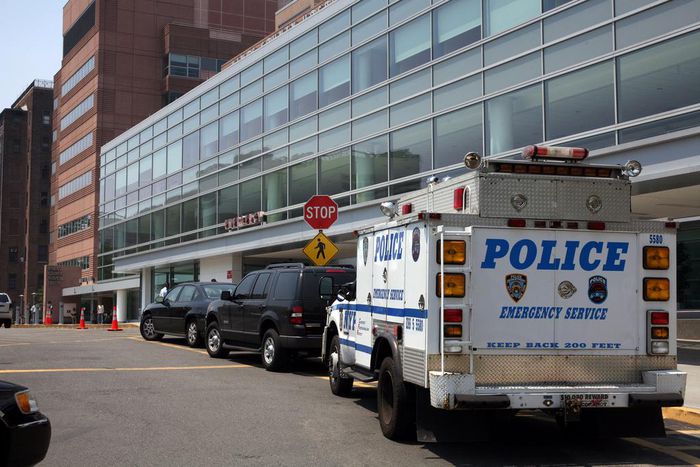 A Fake Psychologist Treated Troubled Children, Prosecutors Say