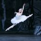 At New York City Ballet, Swans Use Grit to Find Glory