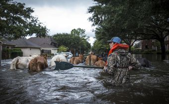 After a Natural Disaster, Is It Better to Rebuild or Retreat?