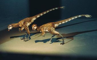 He listed a T. Rex fossil on eBay for $2.95 million, scientists weren't thrilled