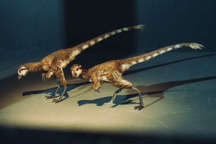 He listed a T. Rex fossil on eBay for $2.95 million, scientists weren't thrilled