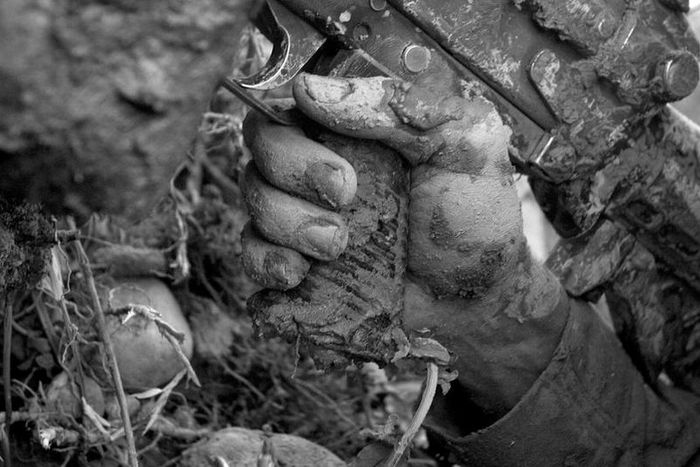 What's really radical? Not taxing the rich