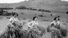 Women With Axes: The World War II 'Lumberjills'