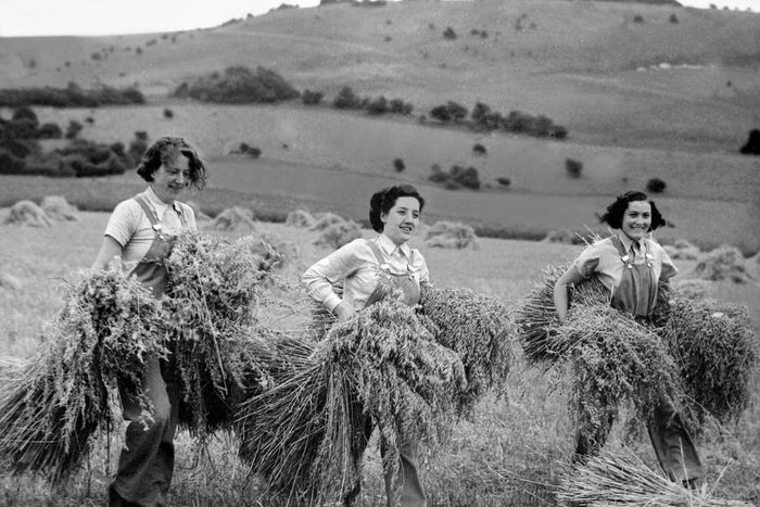 Women With Axes: The World War II 'Lumberjills'