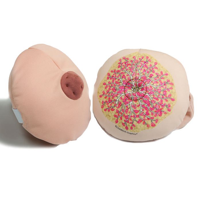 Inverted nipples(childbirthgraphics)