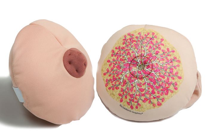 Inverted nipples(childbirthgraphics)