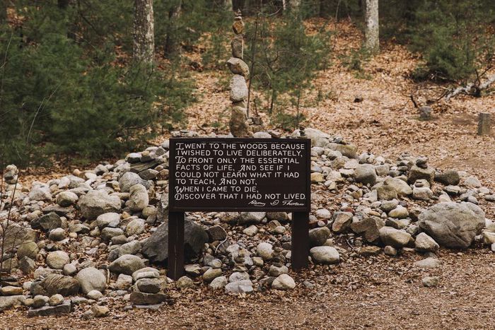 Lessons in Constructive Solitude From Thoreau